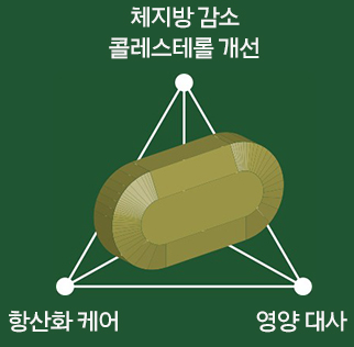 하단 내용 참조