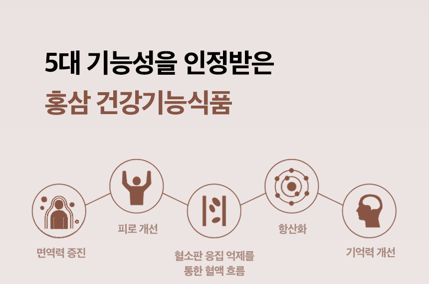 5대 기능성을 인정받은 홍삼 건강기능식품 / 면역력 증진, 피로 개선, 혈소판 응집 억제를 통한 혈액흐름, 항산화, 기억력 개선