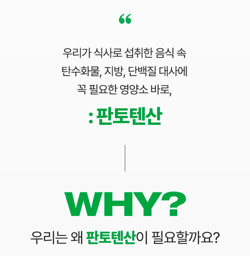 판토텐산 설명