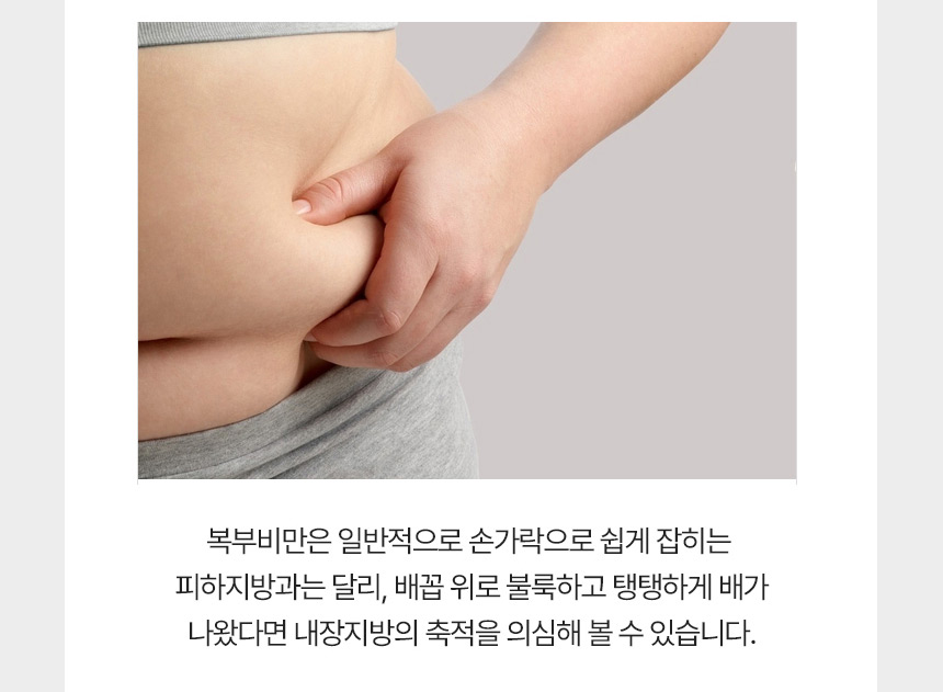 복부비만 설명