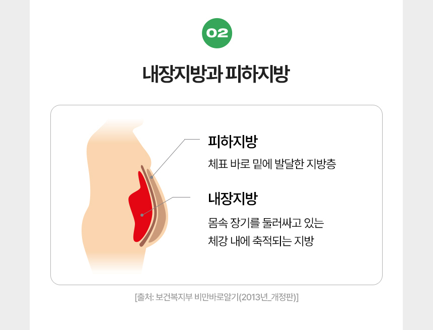 02 내장지방과 피하지방