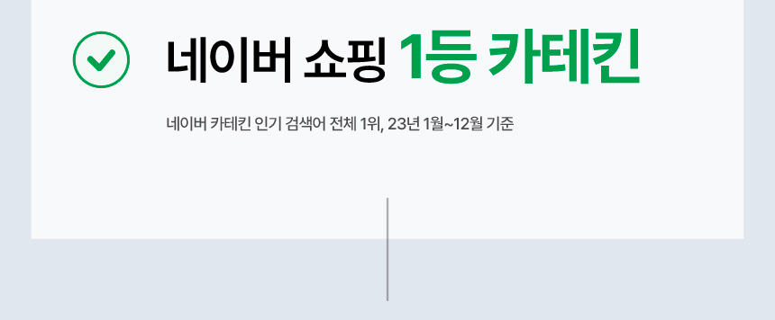 네이버 쇼핑 1등 카테킨