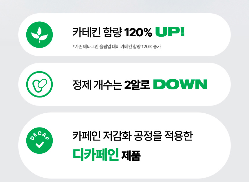 카테킨 함량 120% UP!