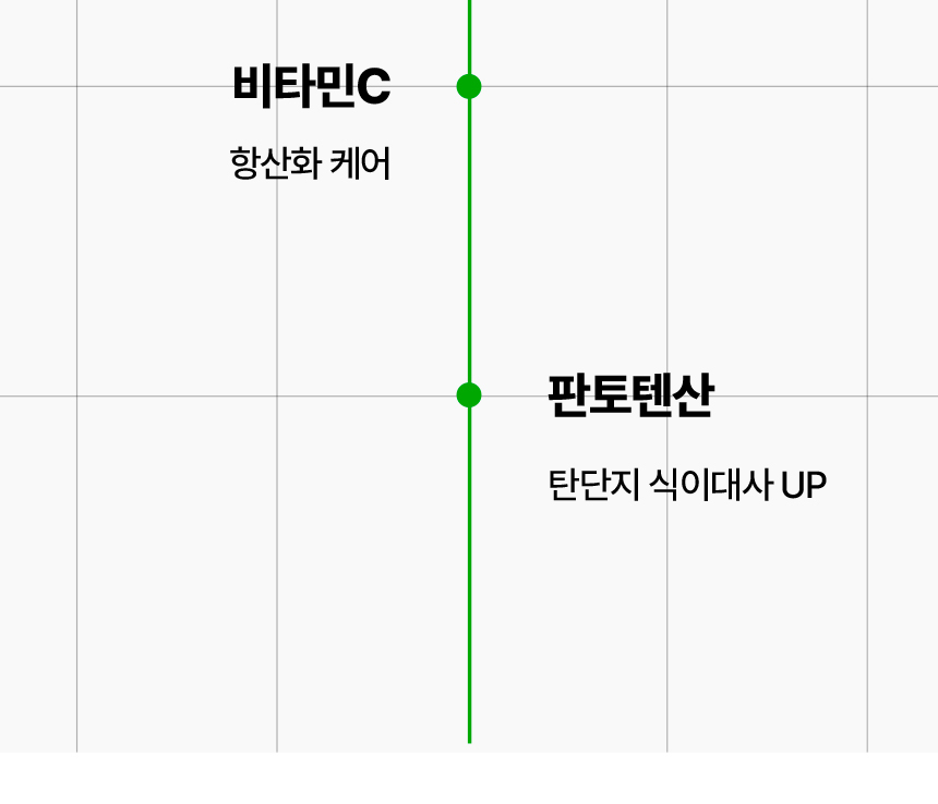 비타민C 항산화 케어 판토텐산 탄단지 식이대사 UP