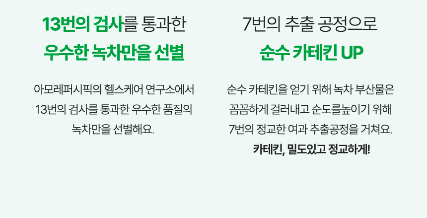 카테킨 제조 공정