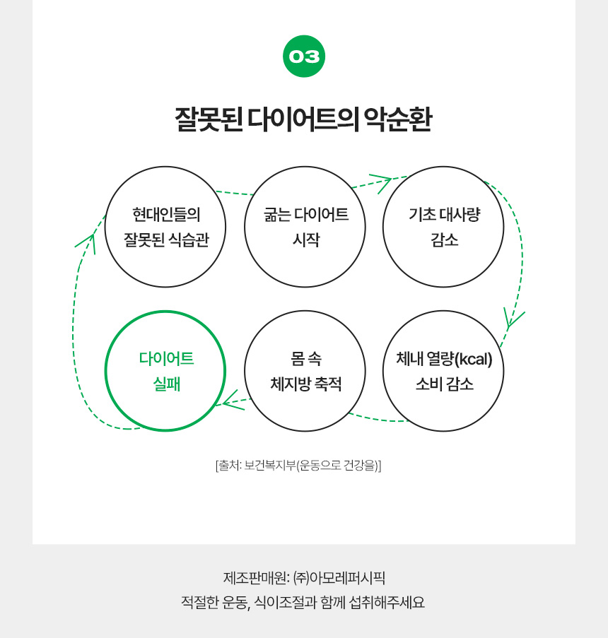 03 잘못된 다이어트의 악순환