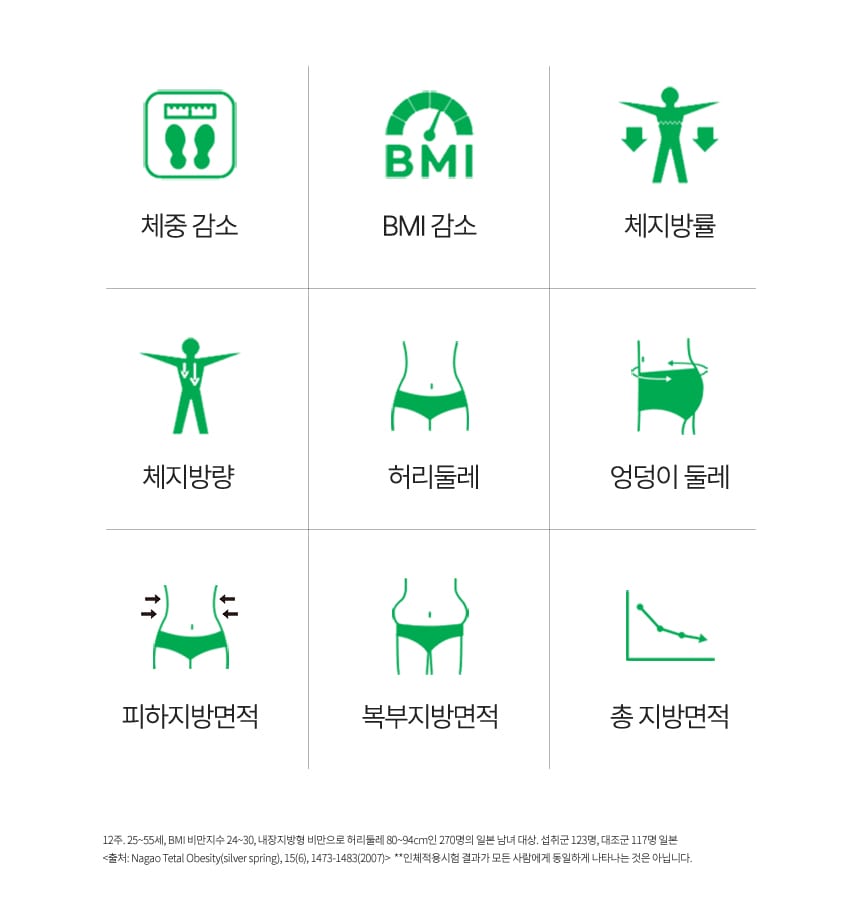 메타 그린 골드