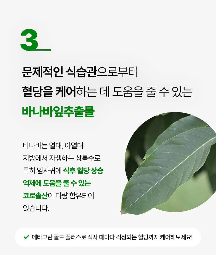 메타 그린 골드