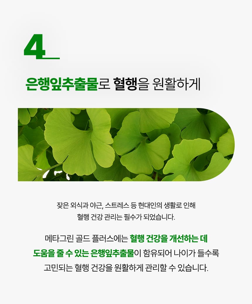 메타 그린 골드