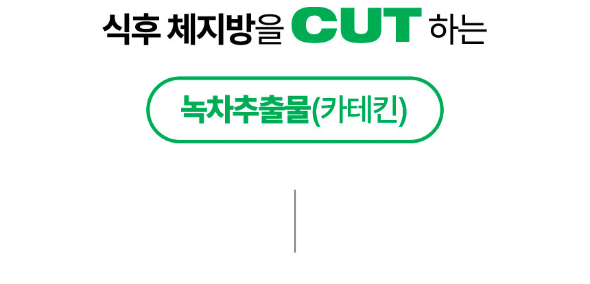 식후 체지방을 cut 하는 녹차추출물(카테킨)