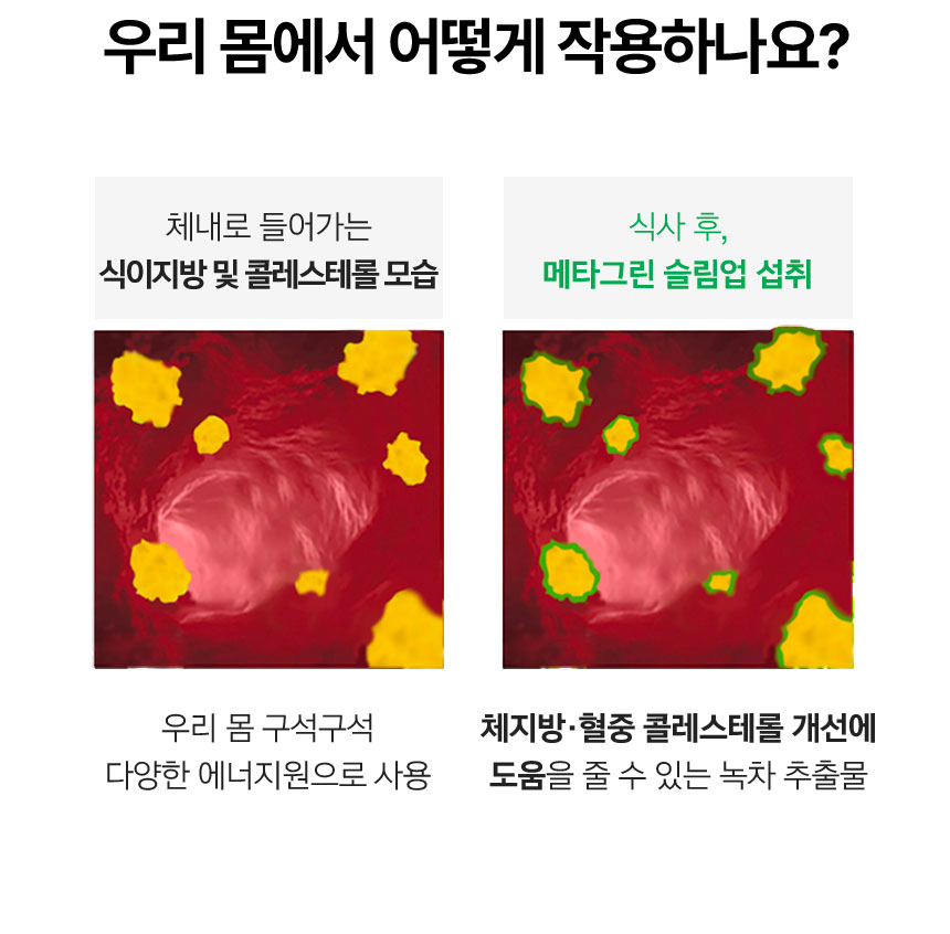 우리 몸에서 어떻게 작용하나요?