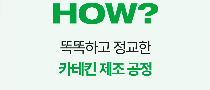 HOW? 똑똑하고 정교한 카테킨 제조 공정