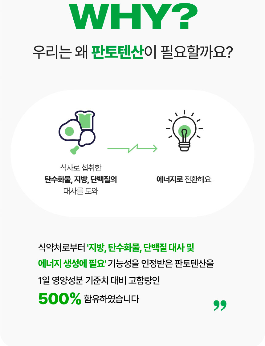우리가 식사로 섭취한 음식 속 탄수화물, 지방, 단백질 대사에 꼭 필요한 영양소 바로,: 판토텐산