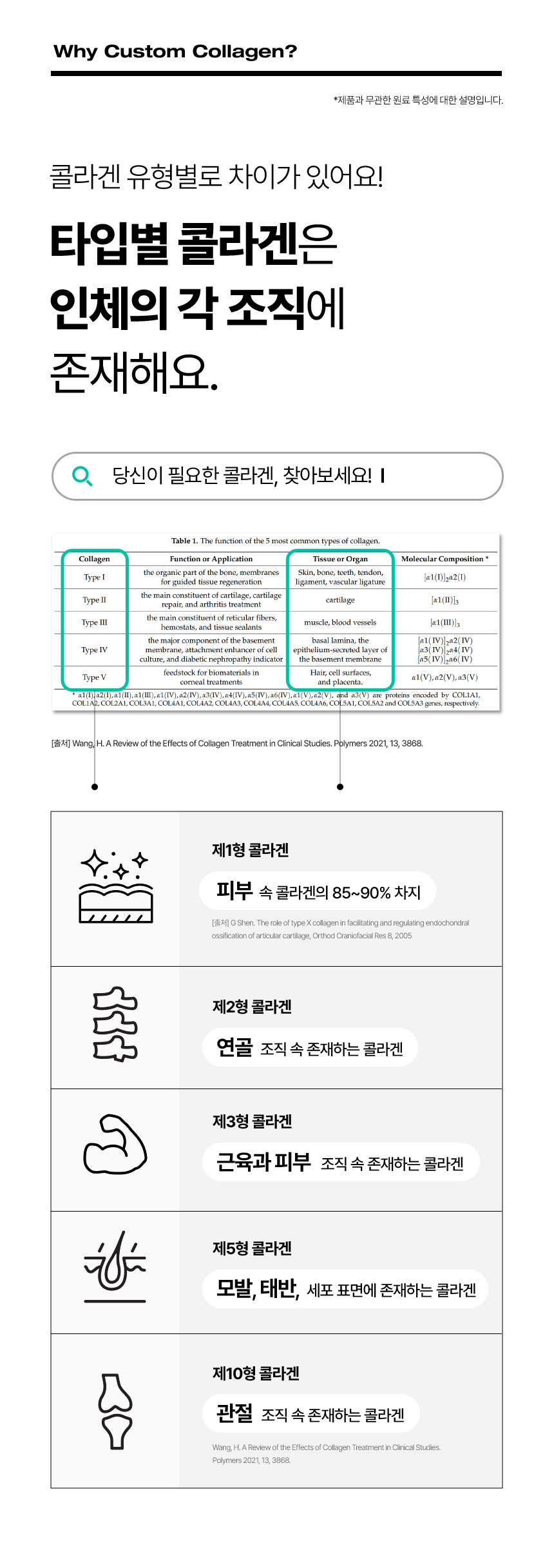 콜라겐 유형별로 차이가 있어요! 타입별 콜라겐은 인체의 각 조직에 존재해요